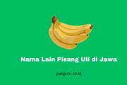 Nama Lain Jantung Pisang Bahasa Jawa