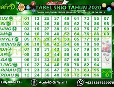 Shio Togel 2023 Terbaru Hari Ini Hongkong